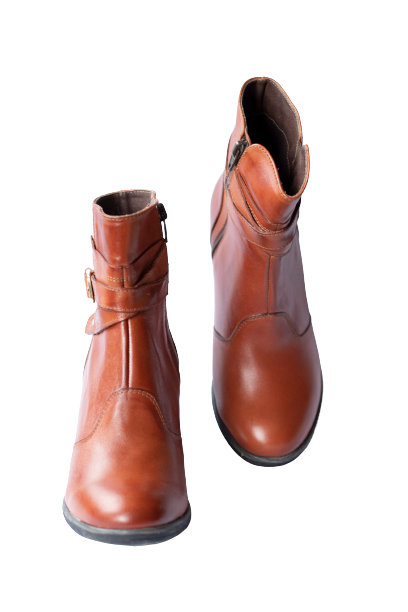 Cod. BD600