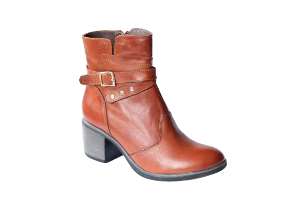 Cod. BD600