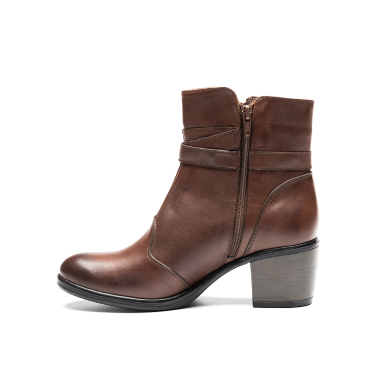 Cod. BD600