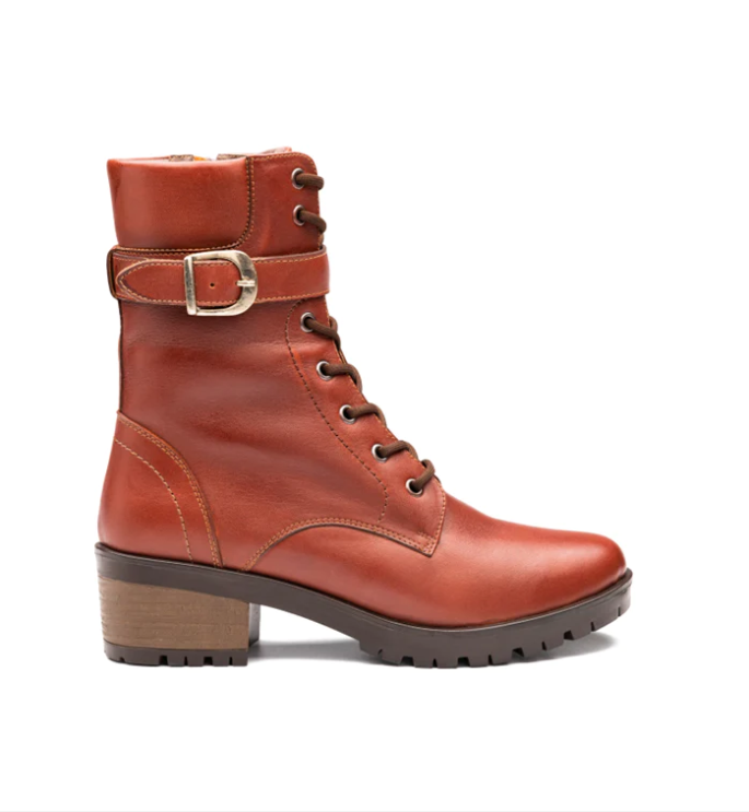 Cod. BD512