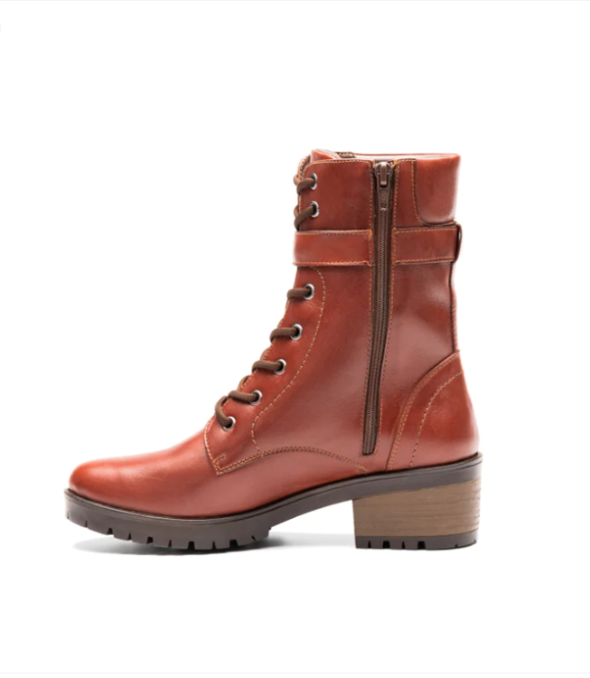 Cod. BD512