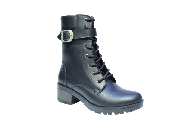 Cod. BD512