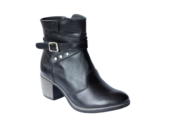 Cod. BD600