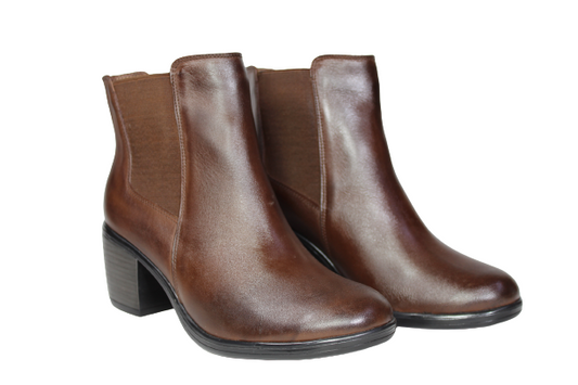 Cod. BD609