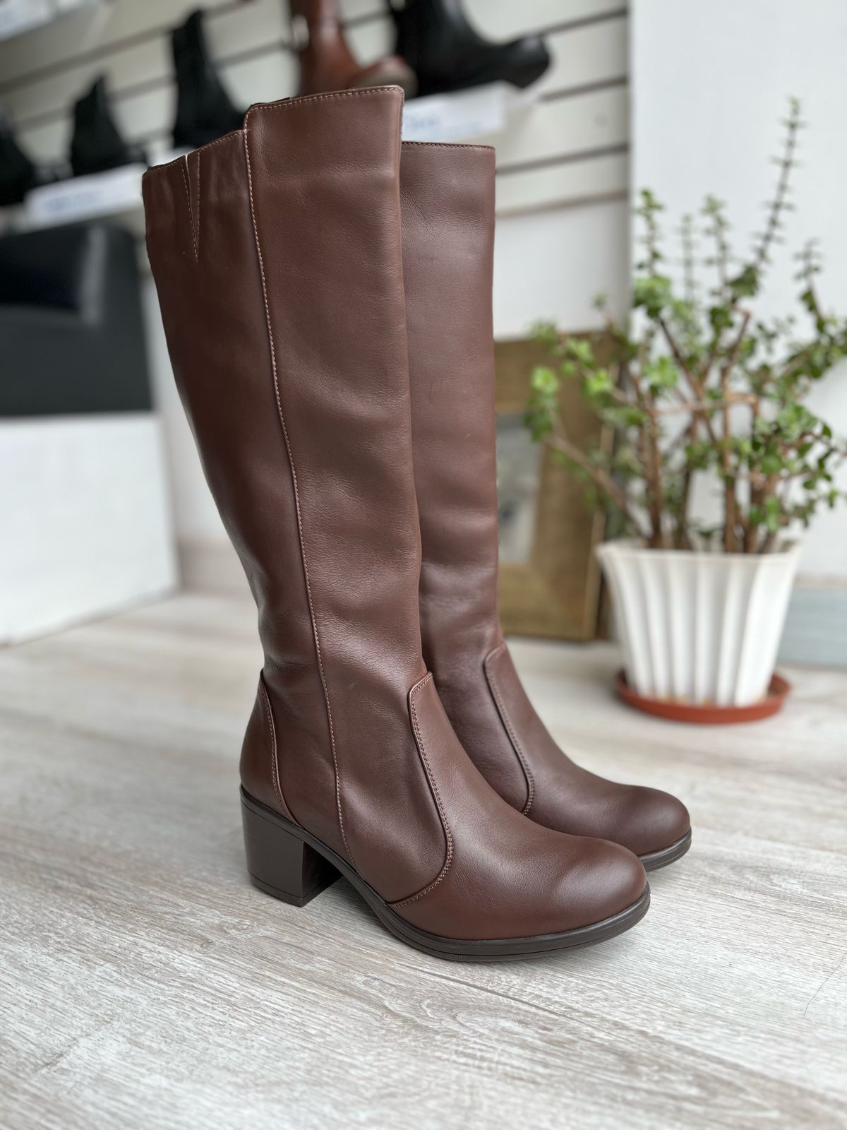 Cod. BD610