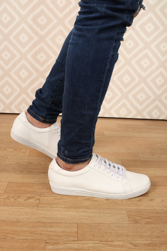 Cod. XC011