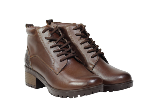 Cod. BD516