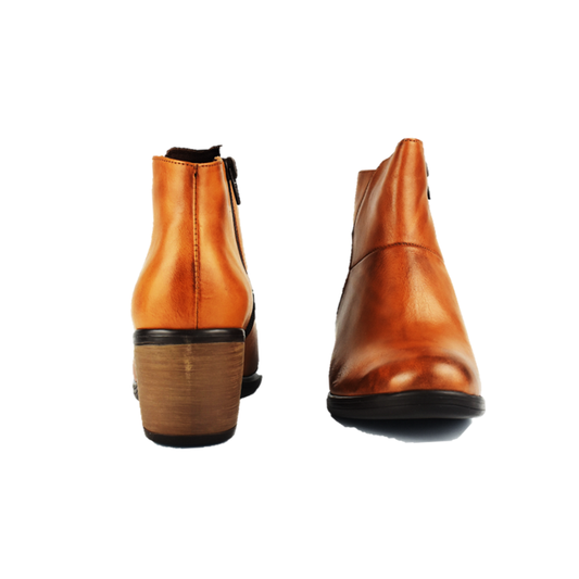 Cod. BD607