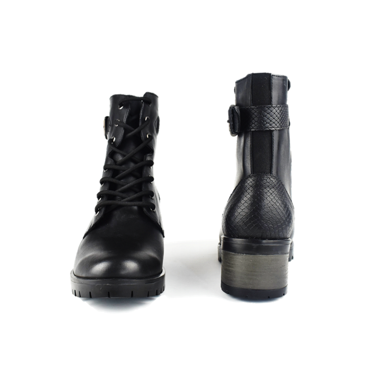 Cod. BD511