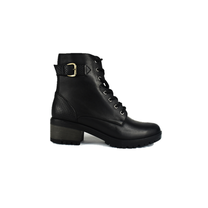 Cod. BD511