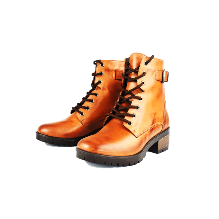 Cod. BD511
