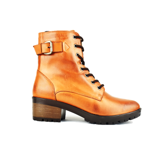 Cod. BD511