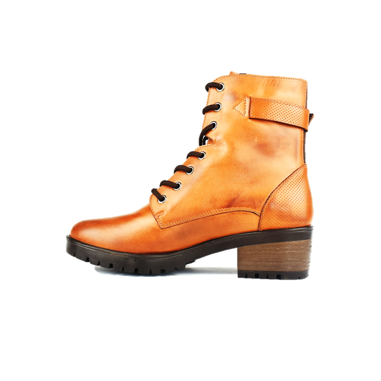 Cod. BD511