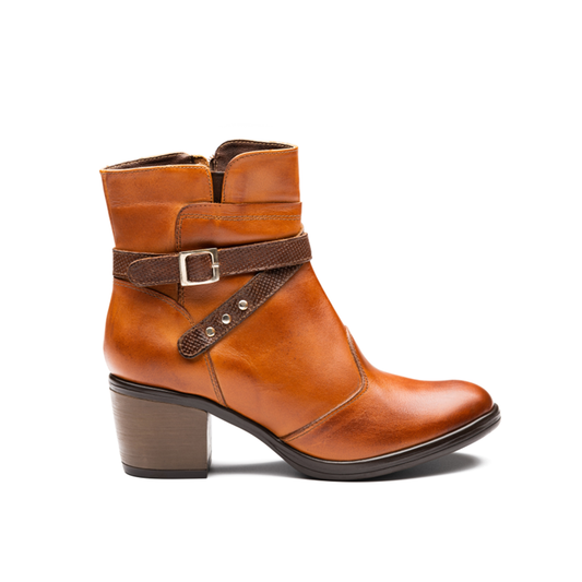 Cod. BD600