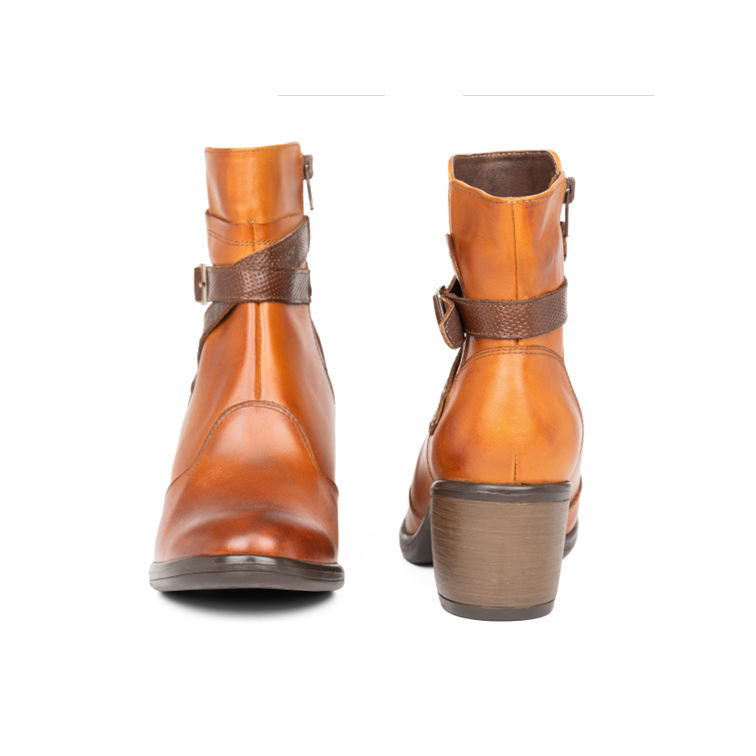 Cod. BD600