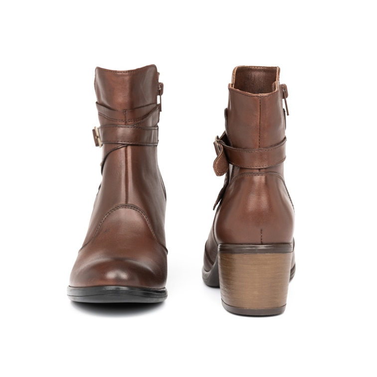 Cod. BD600
